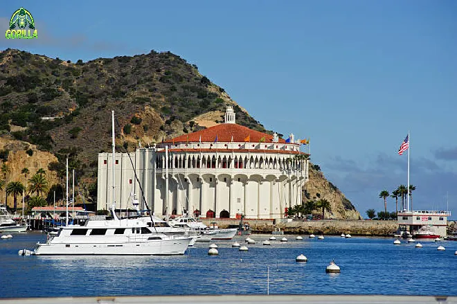 казино горилла